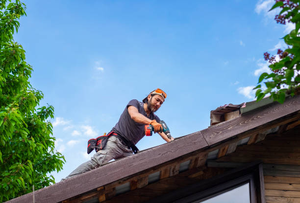 Roof Moss and Algae Removal in Dorothy, NJ